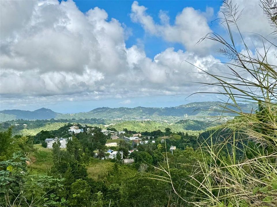 En Venta: $65,000 (0.85 acres)