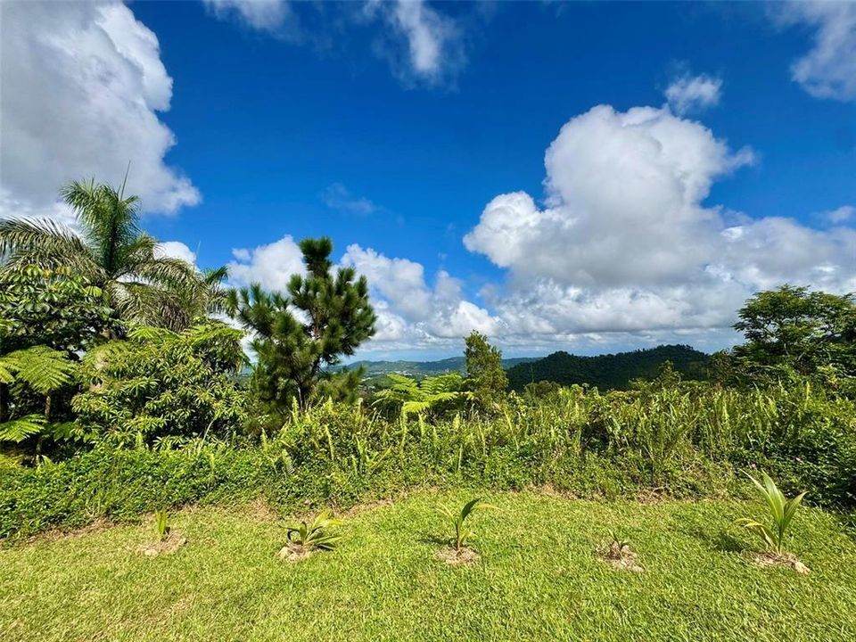 En Venta: $65,000 (0.85 acres)