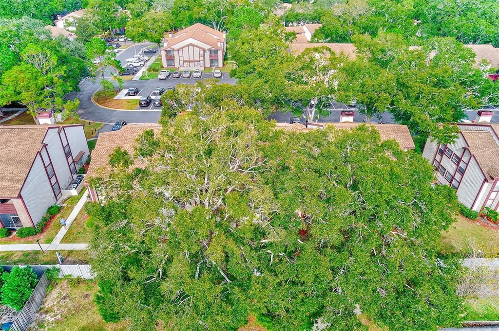 合同活跃: $174,900 (2 贝兹, 2 浴室, 925 平方英尺)