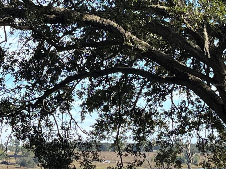 En Venta: $110,000 (0.43 acres)