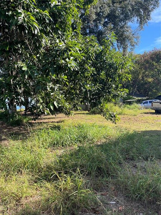 En Venta: $110,000 (0.43 acres)