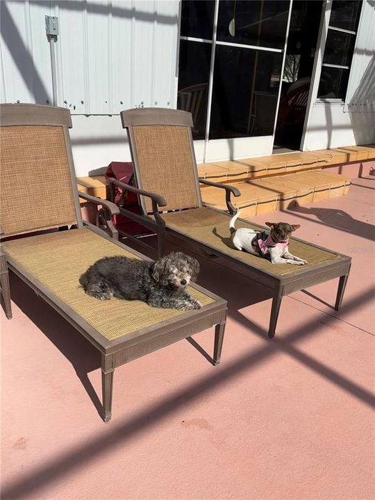 На продажу: $1,400,000 (3 спален, 5 ванн, 2376 Квадратных фут)