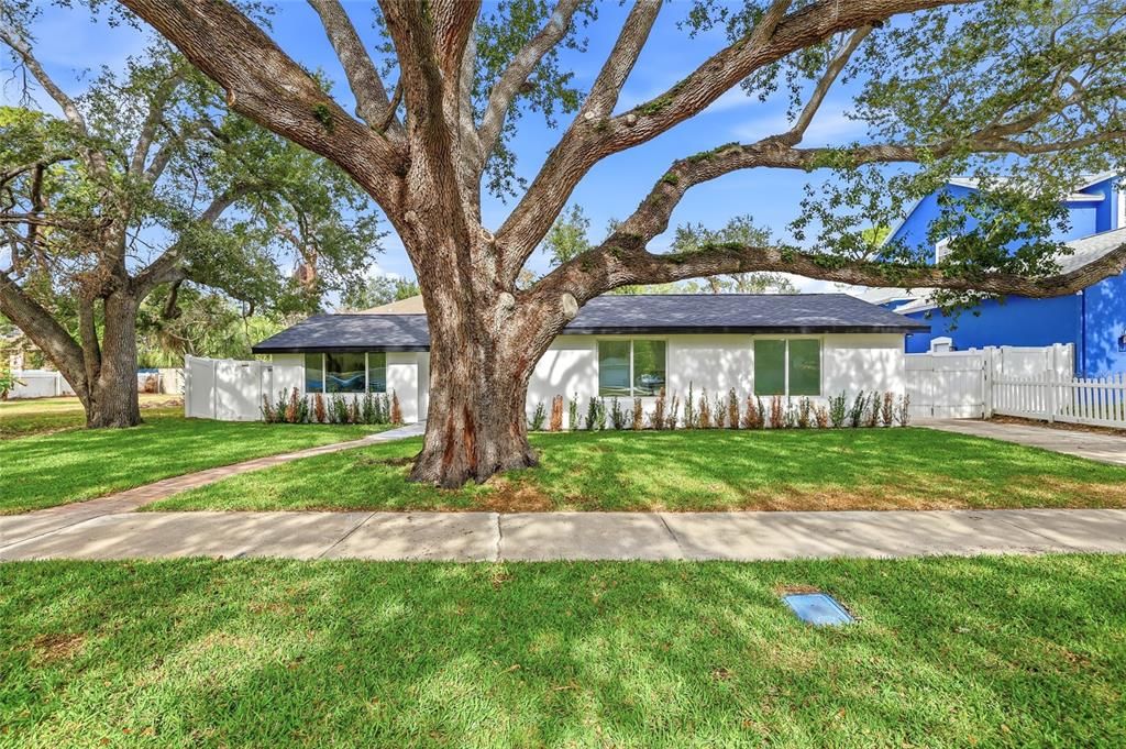 En Venta: $499,999 (3 camas, 2 baños, 1607 Pies cuadrados)