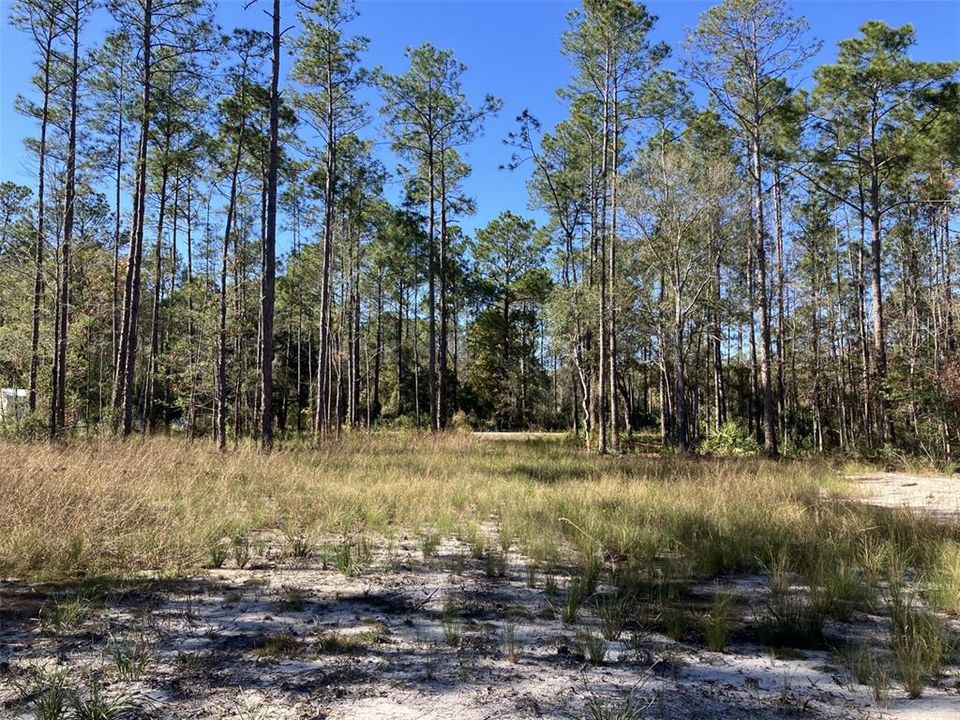 For Sale: $50,000 (1.14 acres)