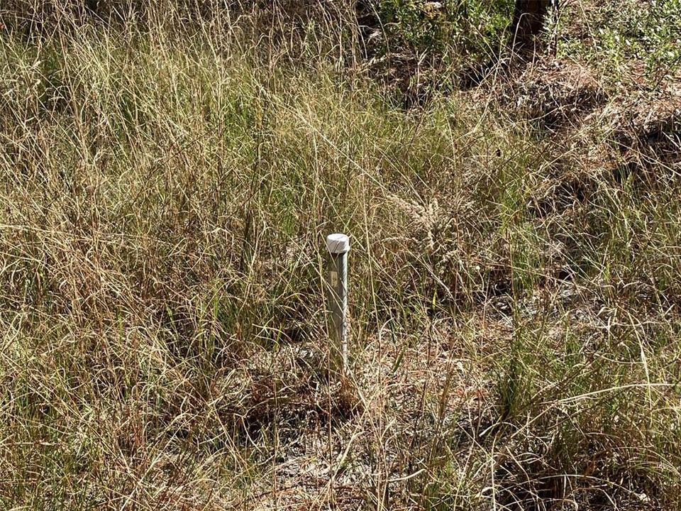 For Sale: $50,000 (1.14 acres)