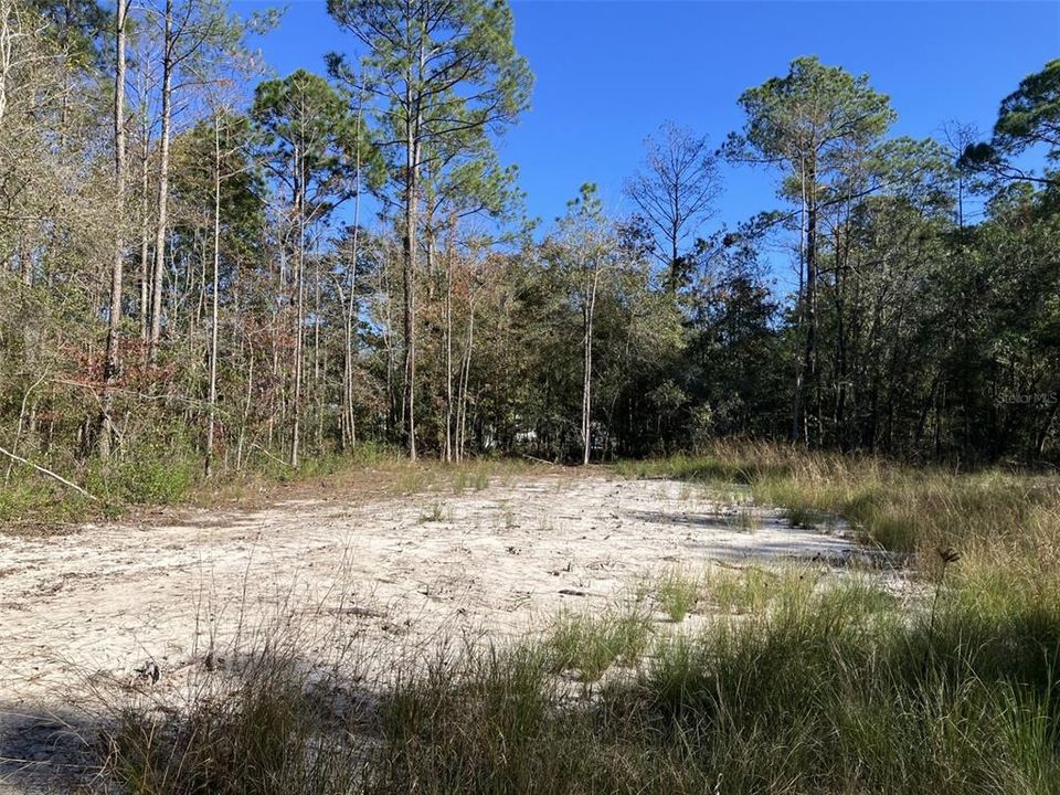 For Sale: $50,000 (1.14 acres)