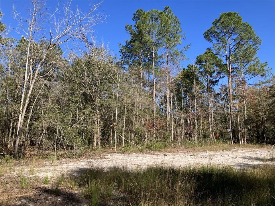 For Sale: $50,000 (1.14 acres)