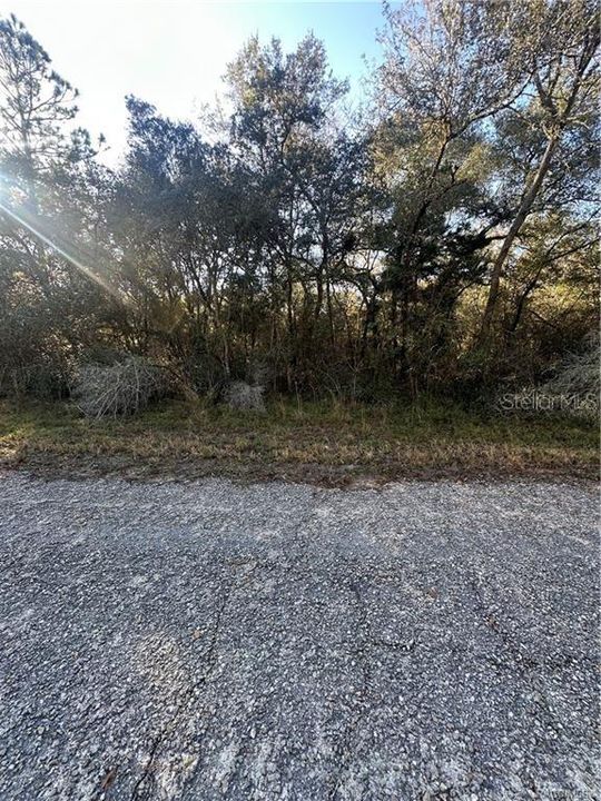 For Sale: $25,000 (0.29 acres)