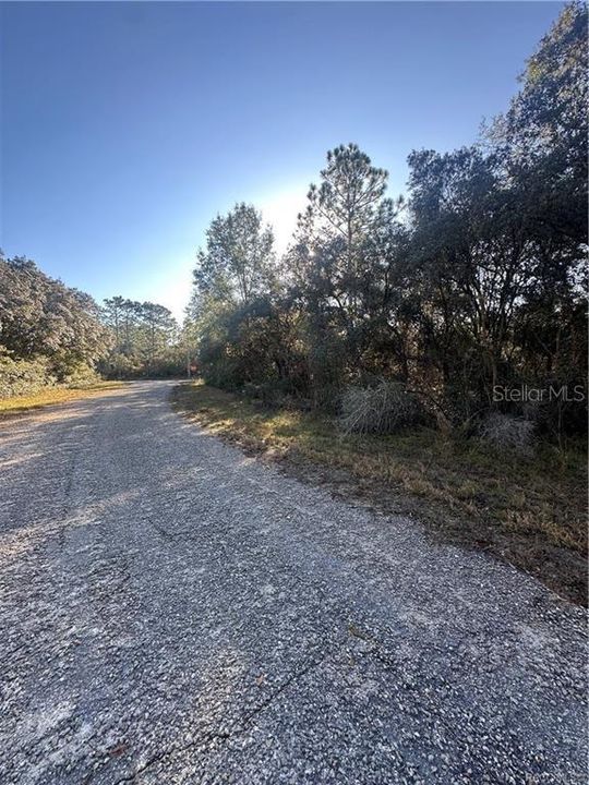 For Sale: $25,000 (0.29 acres)