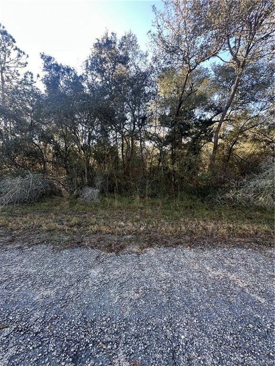 For Sale: $25,000 (0.29 acres)