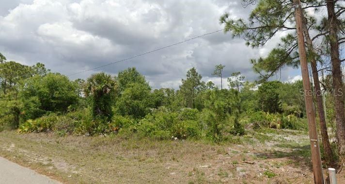 待售: $17,490 (0.25 acres)