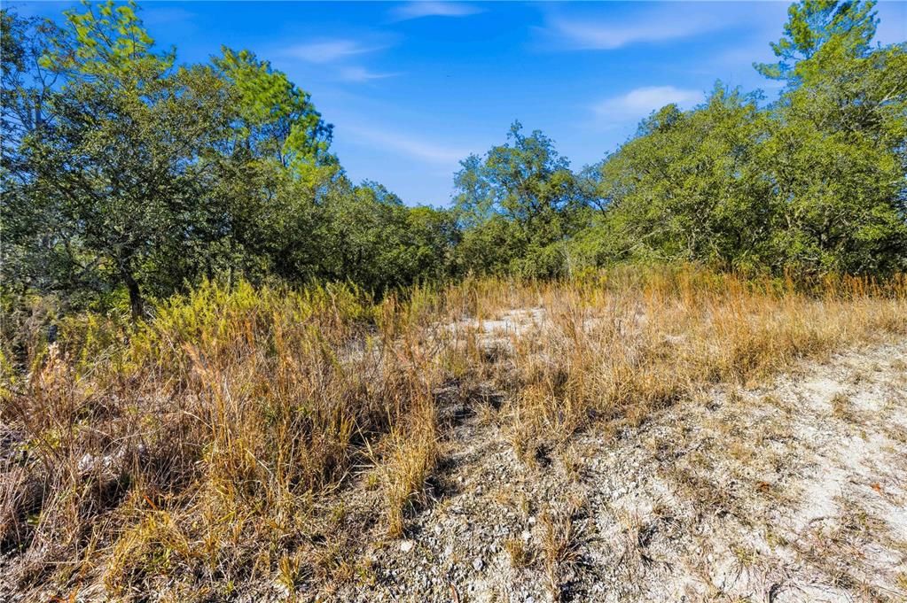 合同活跃: $71,998 (2.31 acres)