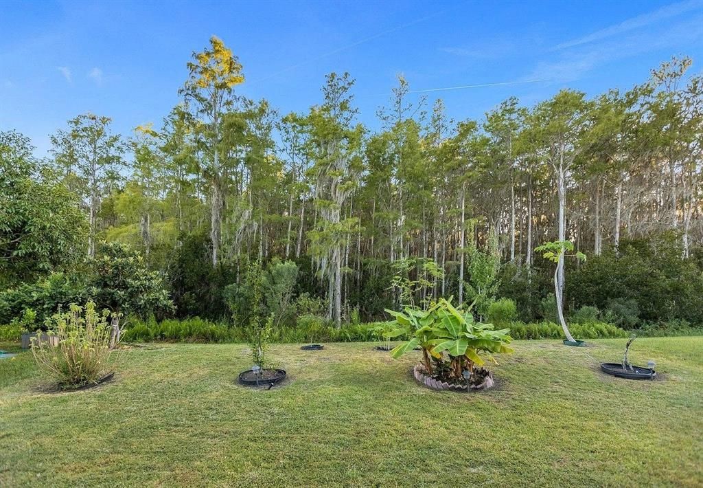 En Renta: $3,400 (5 camas, 3 baños, 3033 Pies cuadrados)