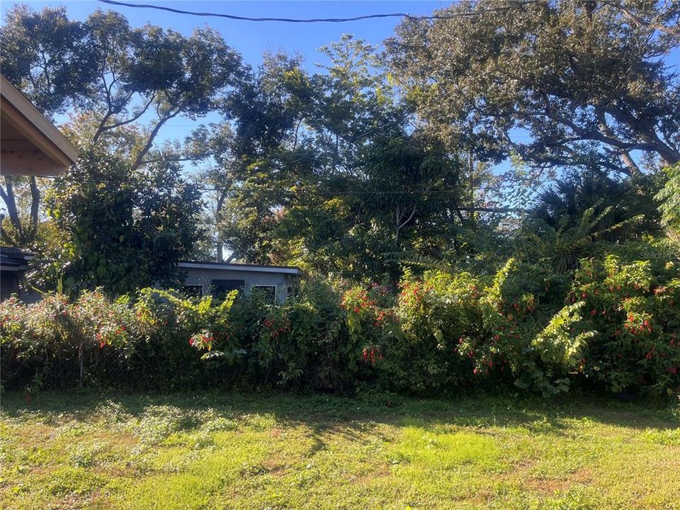 En Renta: $2,000 (3 camas, 1 baños, 910 Pies cuadrados)