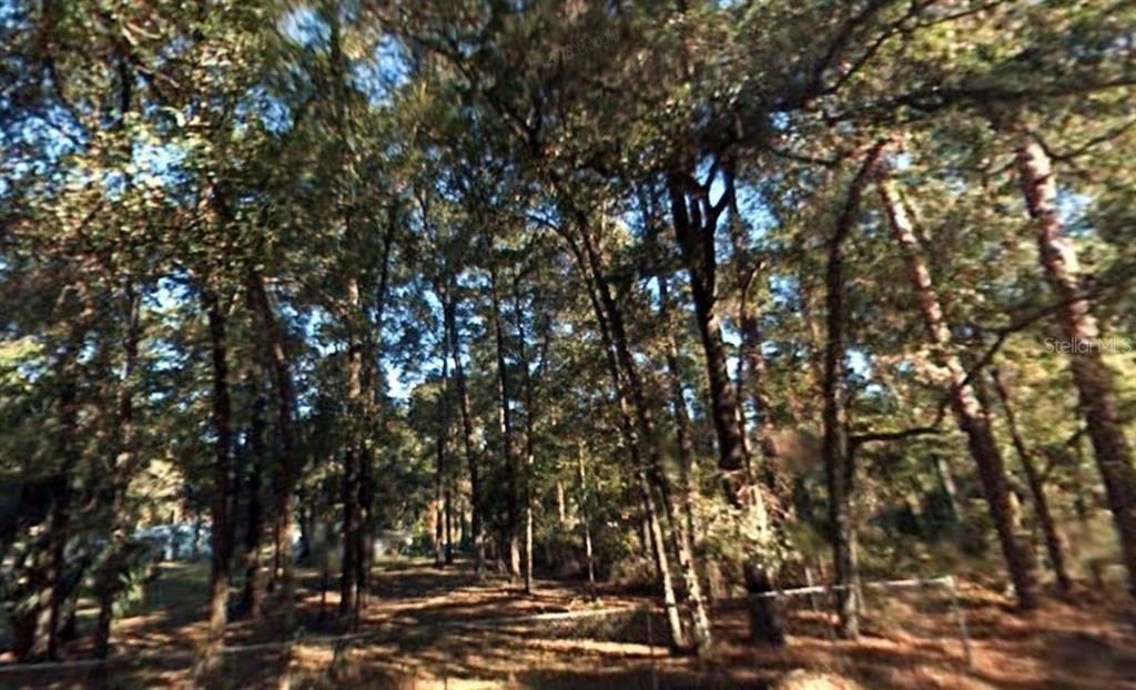 For Sale: $13,300 (0.26 acres)