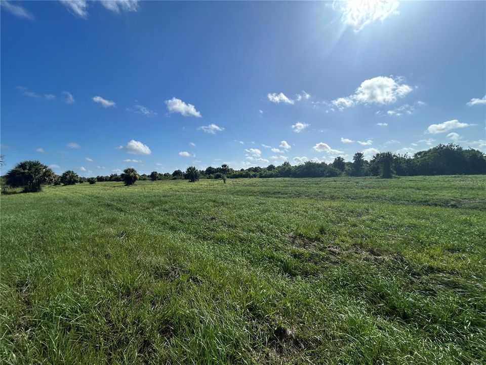 For Sale: $77,000 (1.25 acres)