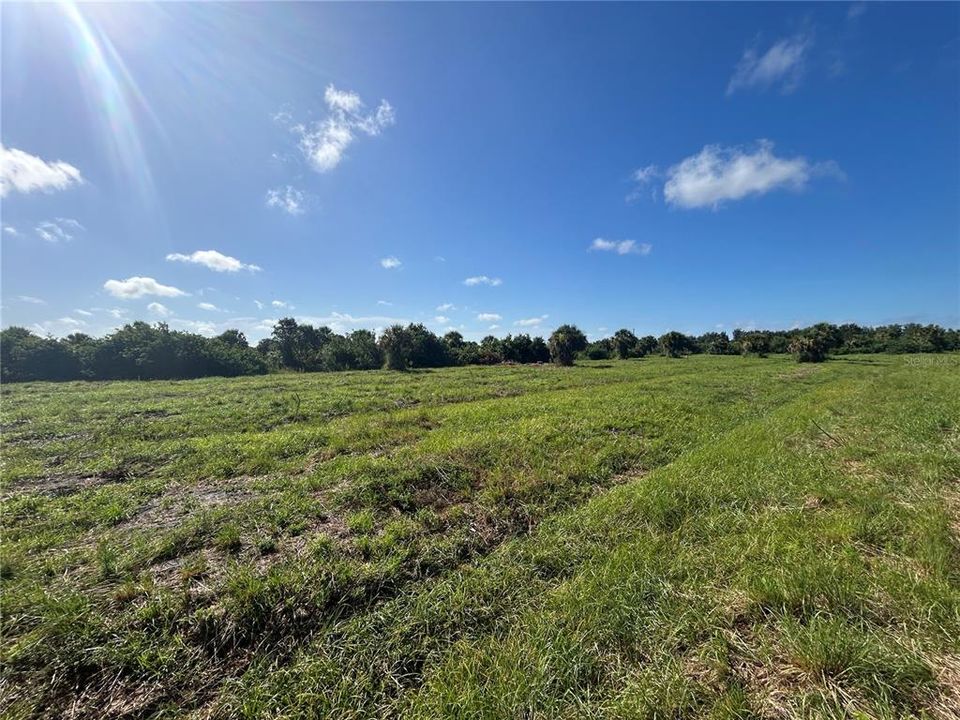 For Sale: $77,000 (1.25 acres)
