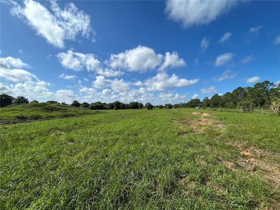 For Sale: $77,000 (1.25 acres)