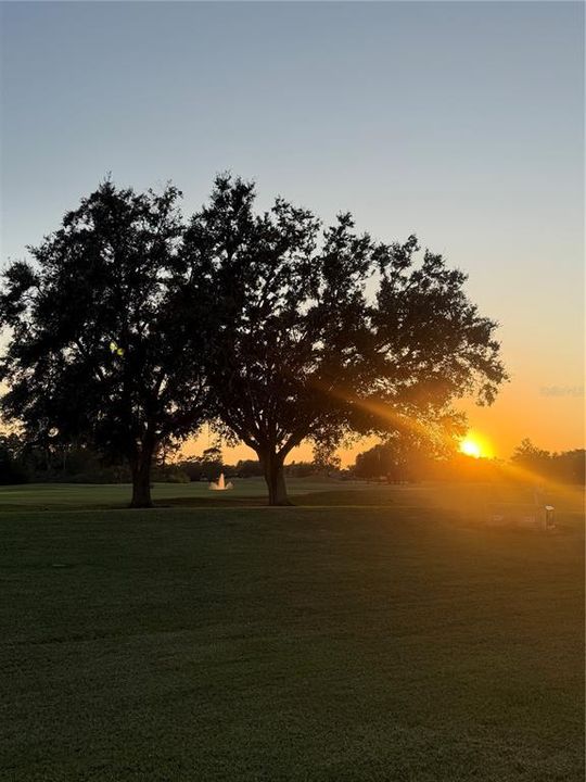 For Sale: $350,000 (2 beds, 2 baths, 1515 Square Feet)