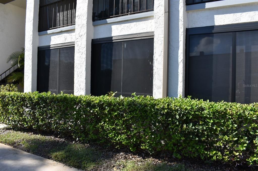 Под контрактом: $99,900 (1 спален, 1 ванн, 640 Квадратных фут)