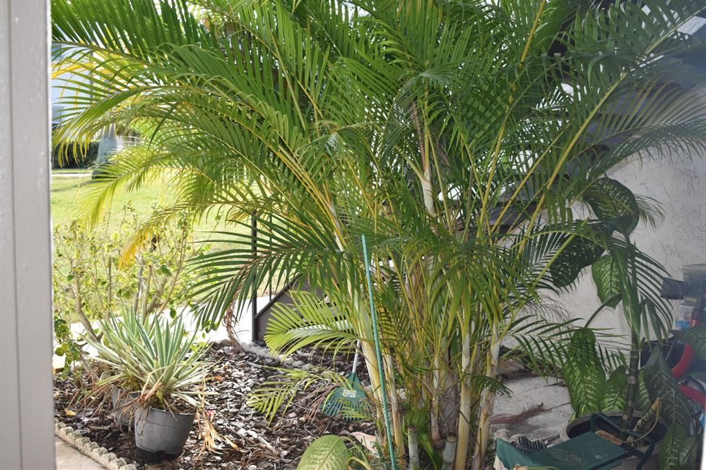 Под контрактом: $99,900 (1 спален, 1 ванн, 640 Квадратных фут)