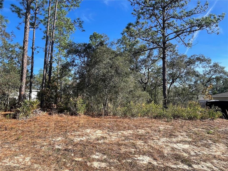 待售: $26,500 (0.23 acres)