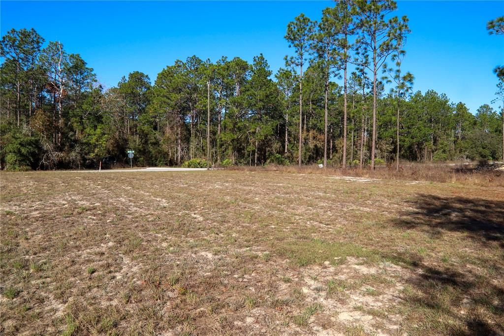 Active With Contract: $98,500 (1.14 acres)