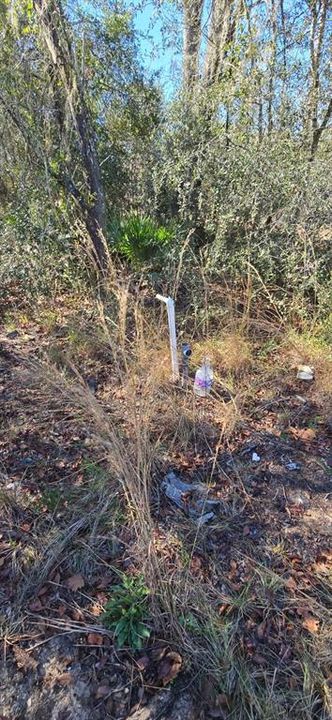 For Sale: $29,900 (0.37 acres)