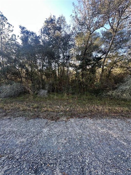 For Sale: $25,000 (0.29 acres)