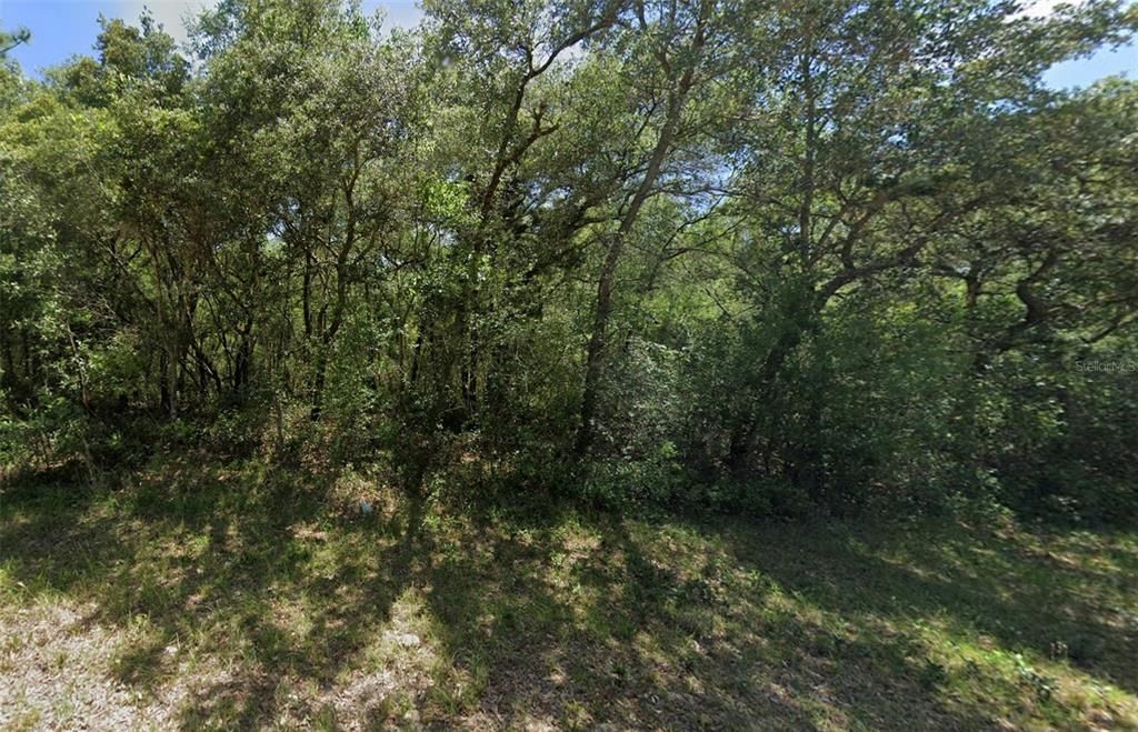 For Sale: $25,000 (0.29 acres)