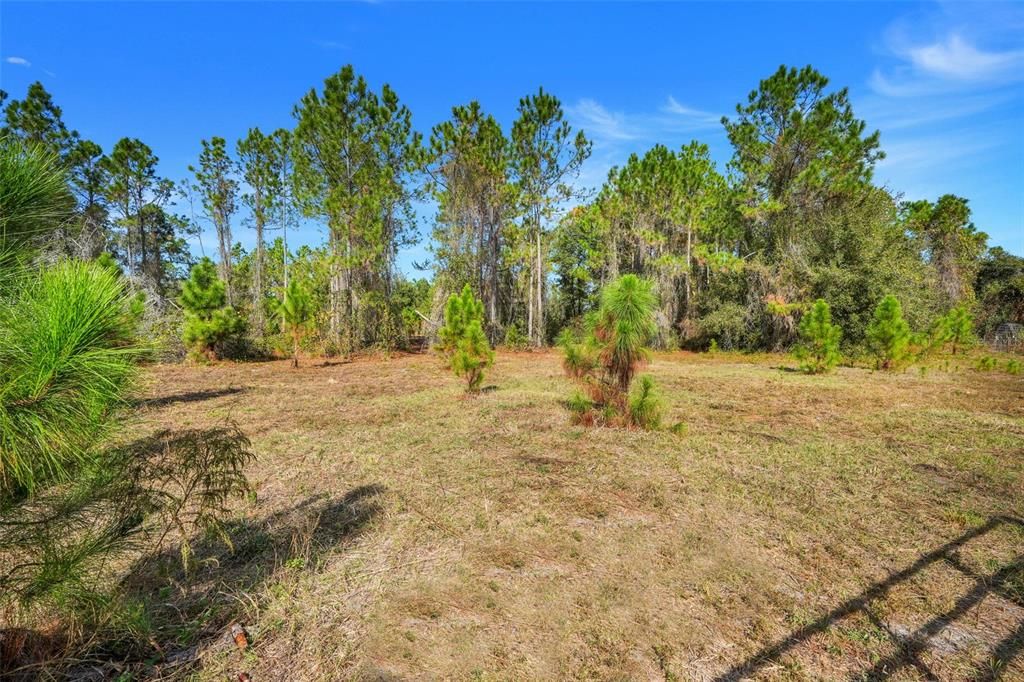 For Sale: $199,000 (5.00 acres)