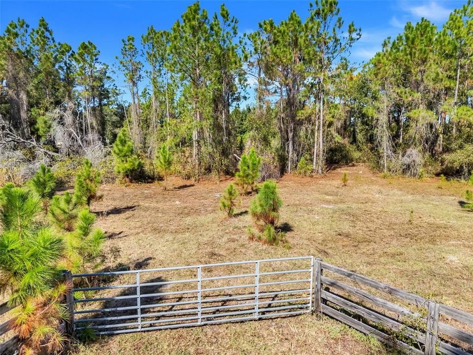 For Sale: $199,000 (5.00 acres)