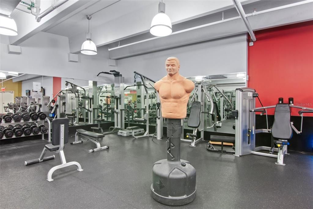 出租: $1,800 (1 贝兹, 1 浴室, 644 平方英尺)