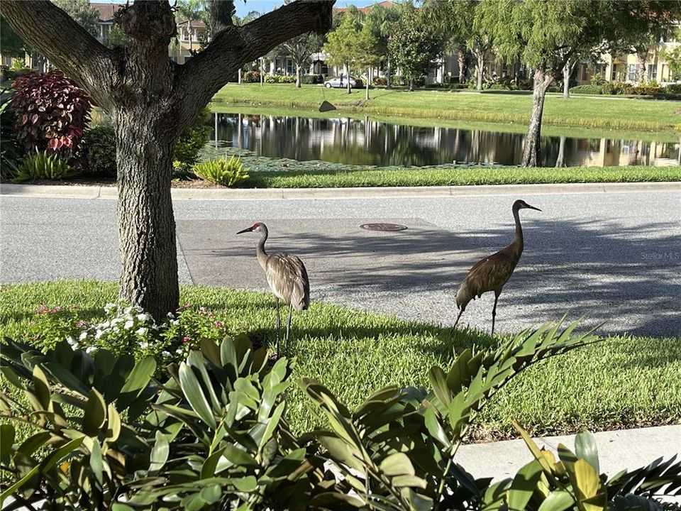 For Sale: $379,000 (3 beds, 2 baths, 1661 Square Feet)