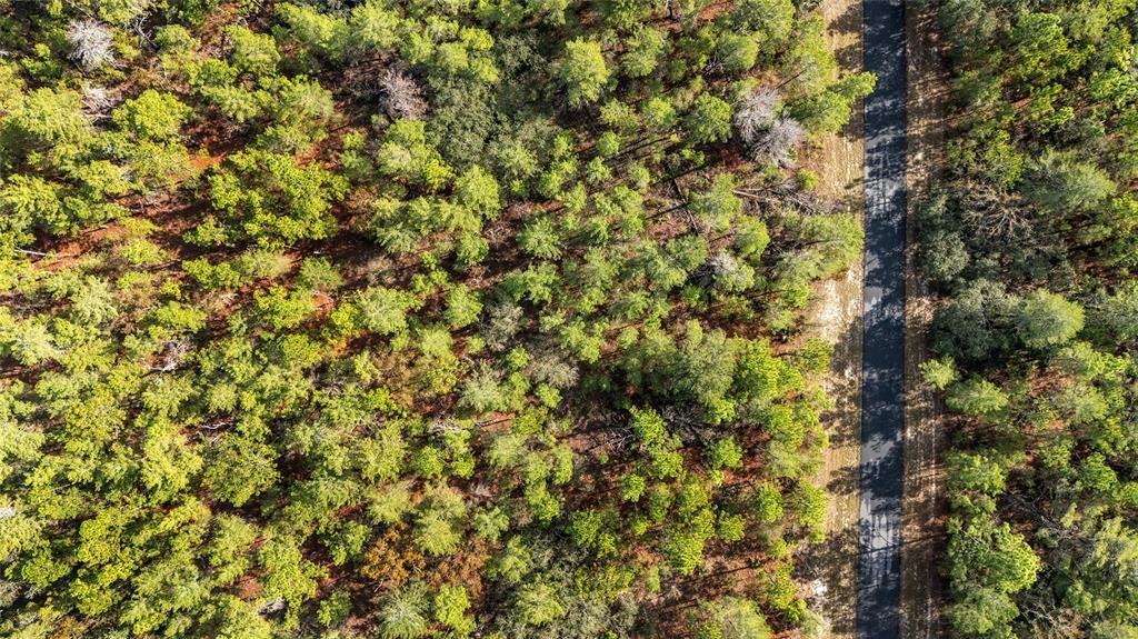 En Venta: $59,000 (1.09 acres)