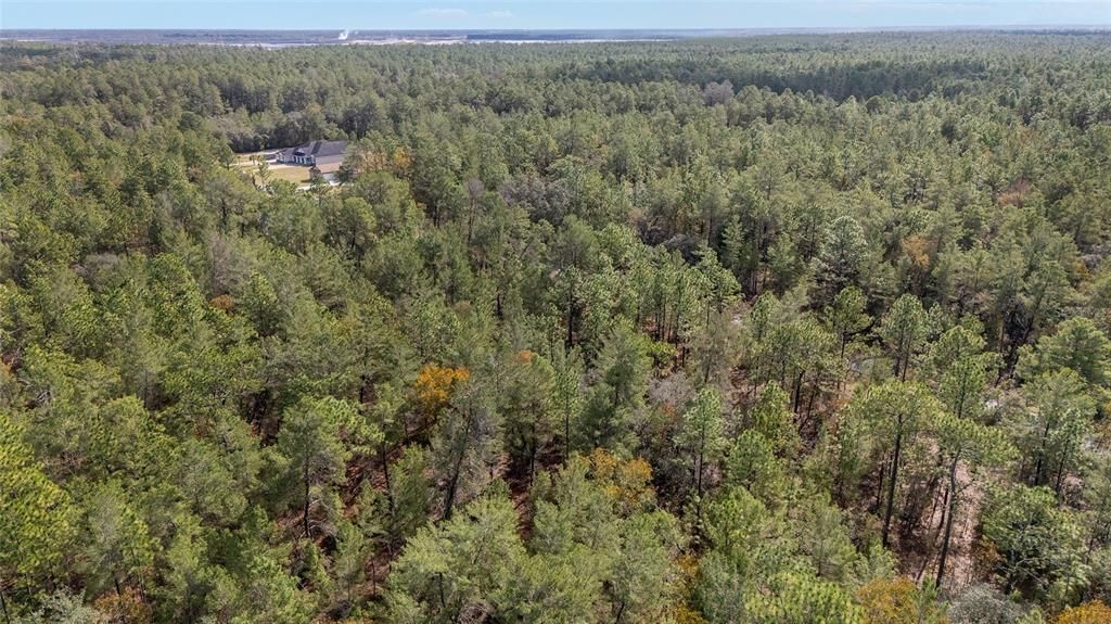 En Venta: $59,000 (1.09 acres)