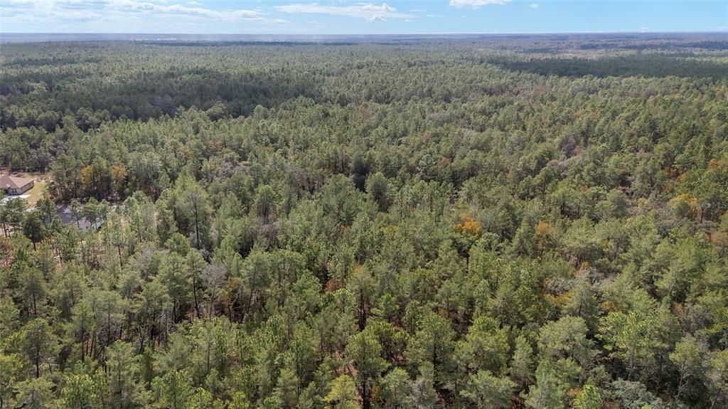 En Venta: $59,000 (1.09 acres)