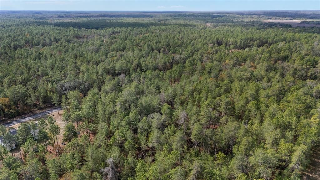 En Venta: $59,000 (1.09 acres)