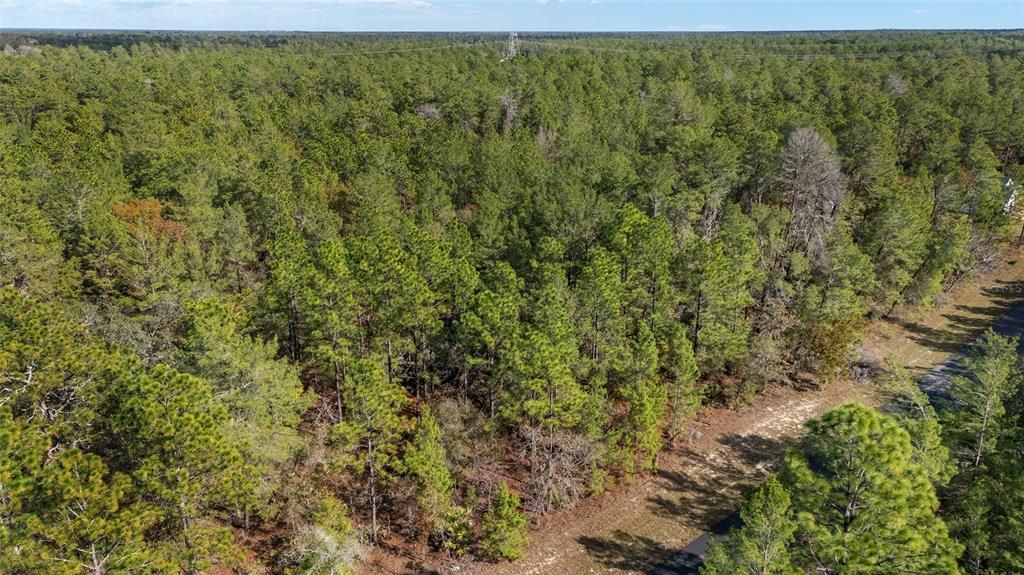 En Venta: $59,000 (1.09 acres)