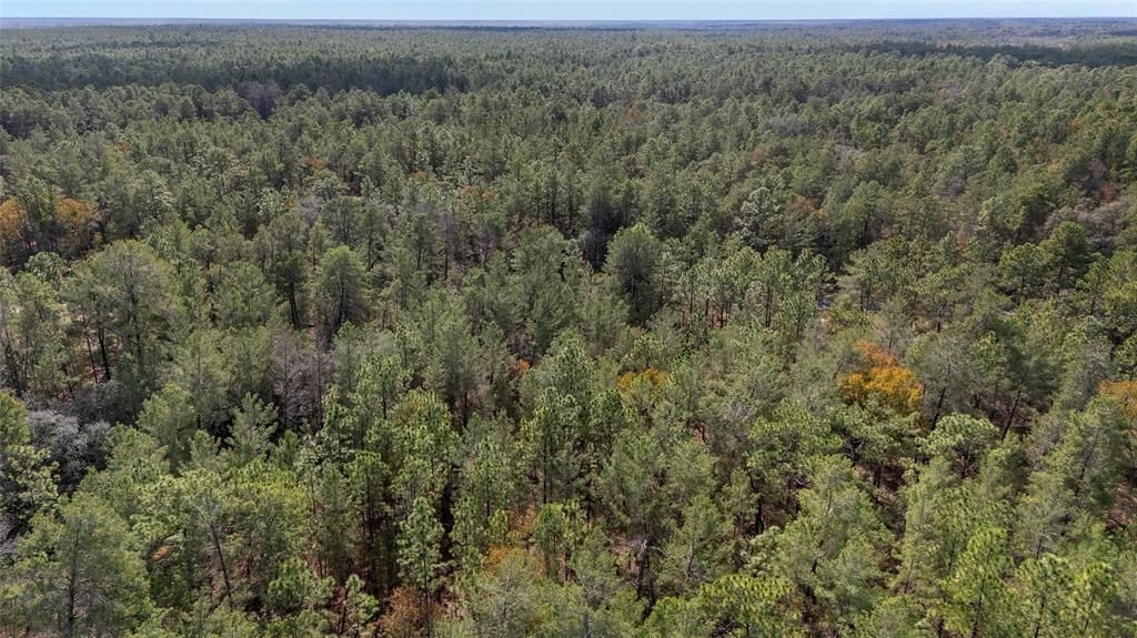 En Venta: $59,000 (1.09 acres)