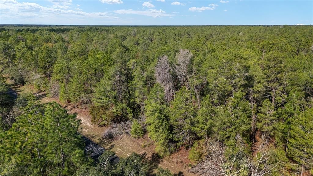 En Venta: $59,000 (1.09 acres)