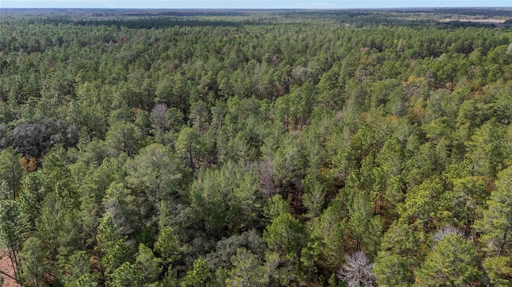 En Venta: $59,000 (1.09 acres)