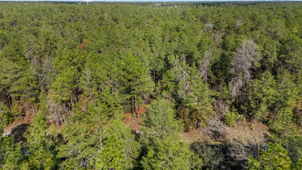 En Venta: $59,000 (1.09 acres)