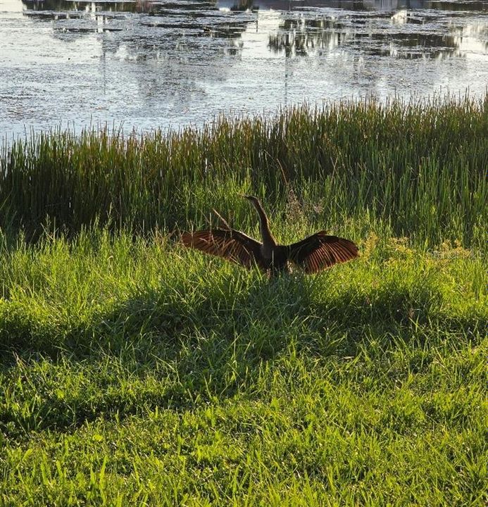 待售: $295,000 (3 贝兹, 2 浴室, 937 平方英尺)