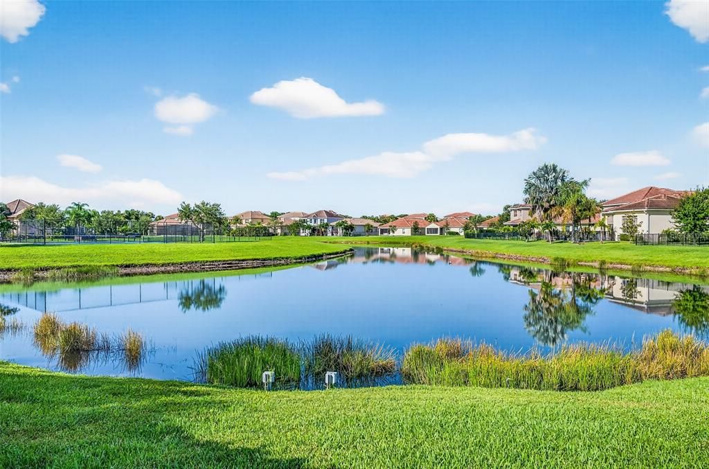 出租: $3,200 (4 贝兹, 3 浴室, 2491 平方英尺)