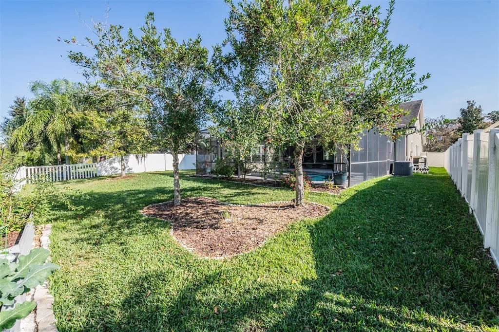 For Sale: $539,900 (4 beds, 3 baths, 2562 Square Feet)