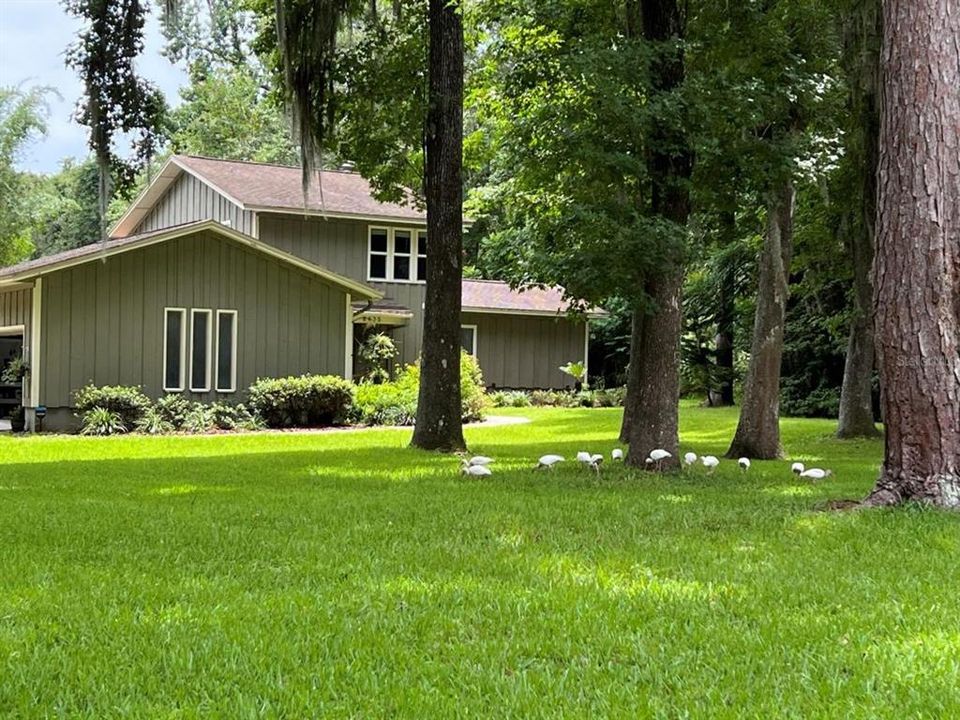 For Rent: $3,000 (4 beds, 2 baths, 2030 Square Feet)