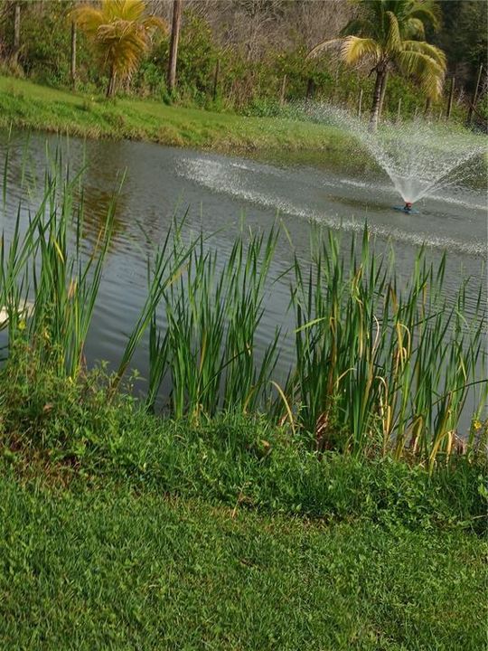 For Sale: $560,000 (4 beds, 2 baths, 2545 Square Feet)