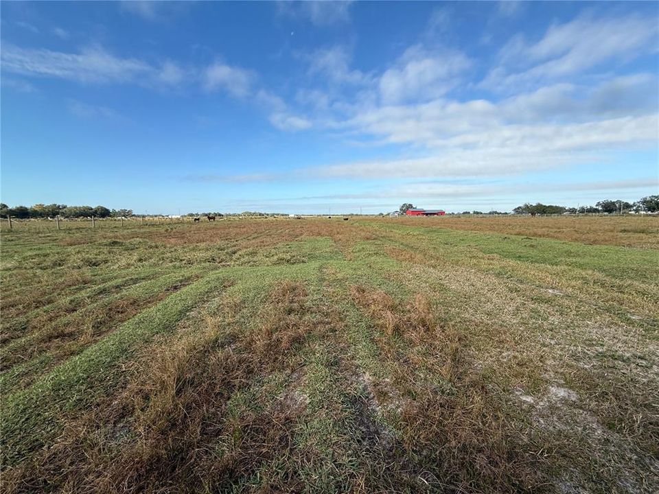 На продажу: $250,000 (8.70 acres)