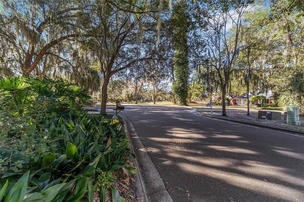 待售: $699,000 (3 贝兹, 3 浴室, 3764 平方英尺)